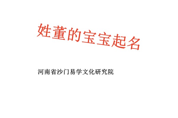 安康姓董的宝宝起名高分名字